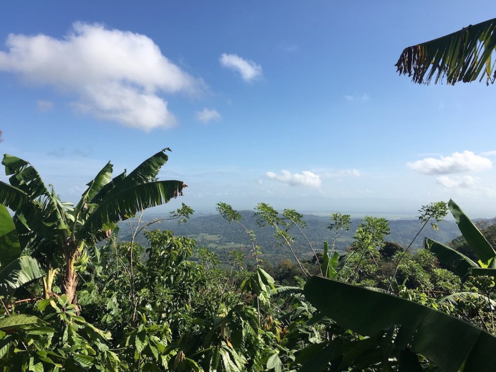 Dominican Republic Baseball Community Service